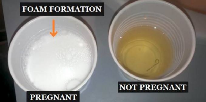 Picture 3 toothpaste pregnancy test results