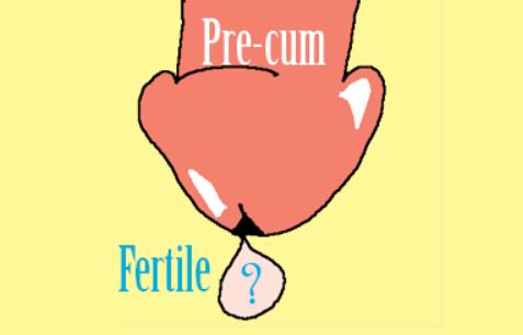 Can Women Get Pregnant From Precum 79